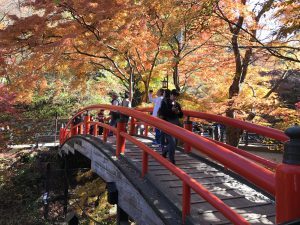 秋山ブログ紅葉橋2