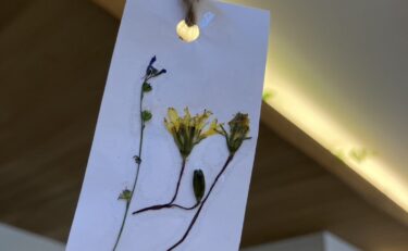 押し花の栞：藤田