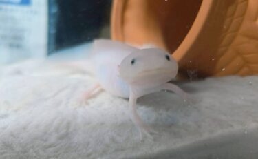 2025年を超えて♠櫻井